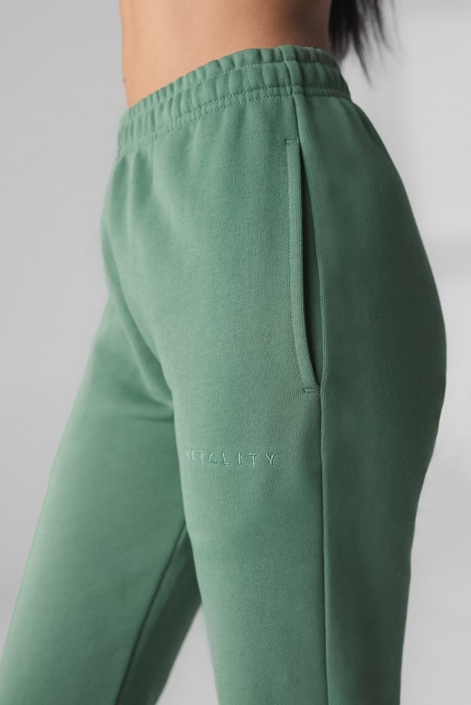 Serpentine Vitality Cozy Jogger | IVYXJH859