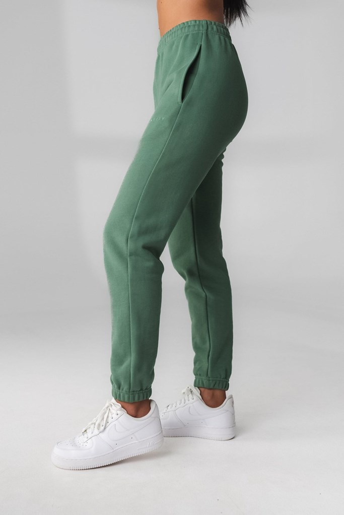 Serpentine Vitality Cozy Jogger | IXMRNK510