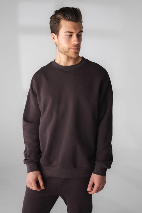 Obsidian Vitality Cozy Crew | CLAEXP598